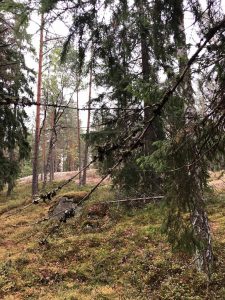 IMG_0906.jpeg.jpg