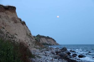 IMG_8136.jpg