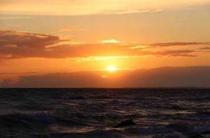 IMG_8213.jpg