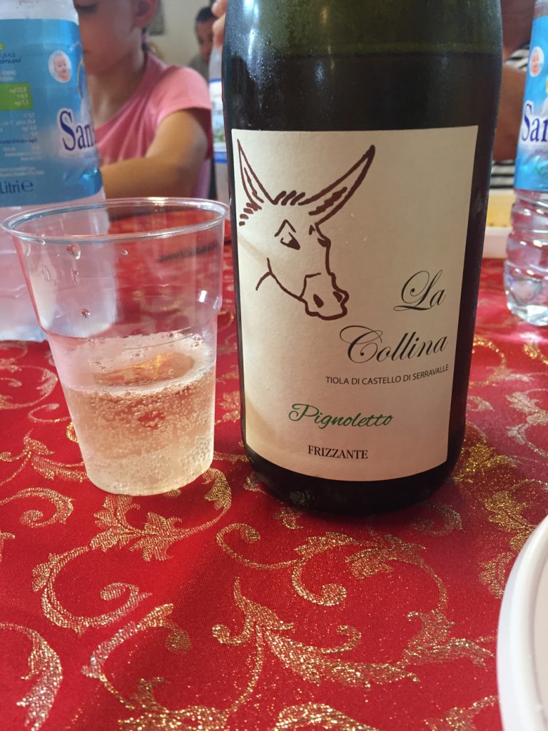 Bologna, Valsamoggia - Viinitarhoja ja koirahommia 38 Bologna, Valsamoggia - Viinitarhoja ja koirahommia 37