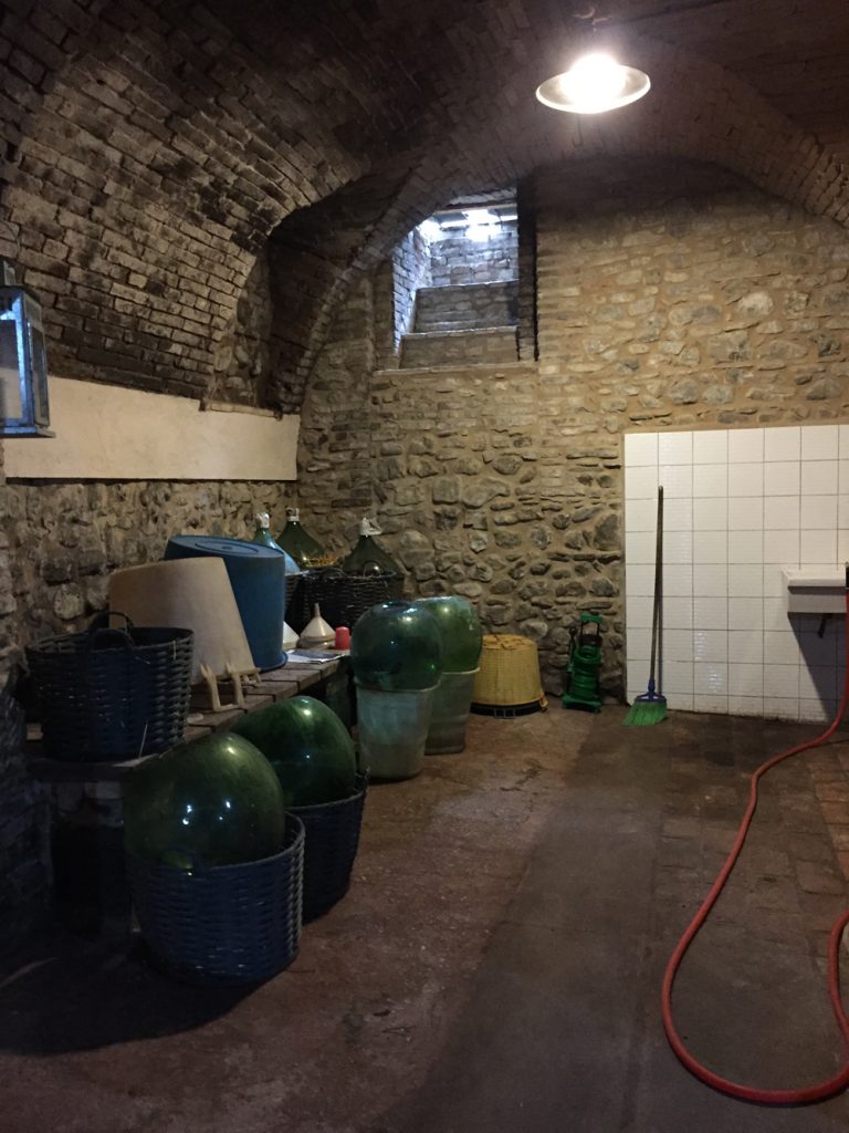 Bologna, Valsamoggia - Viinitarhoja ja koirahommia 44 Bologna, Valsamoggia - Viinitarhoja ja koirahommia 43