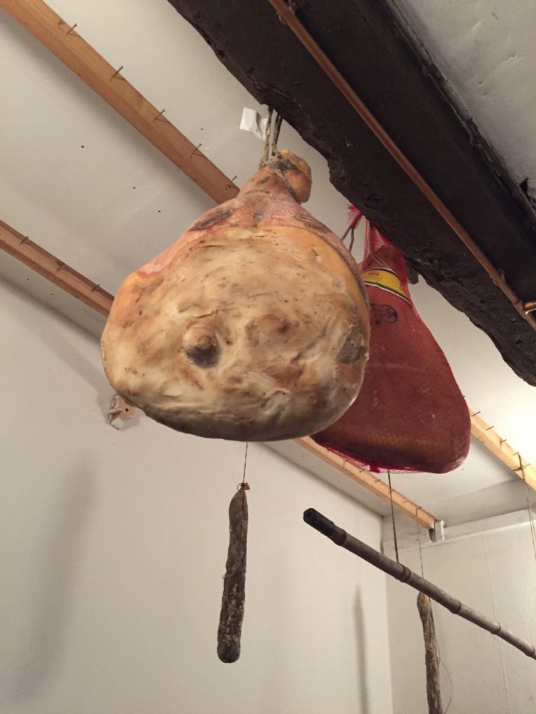 Bologna, Valsamoggia - Viinitarhoja ja koirahommia 47 Bologna, Valsamoggia - Viinitarhoja ja koirahommia 46