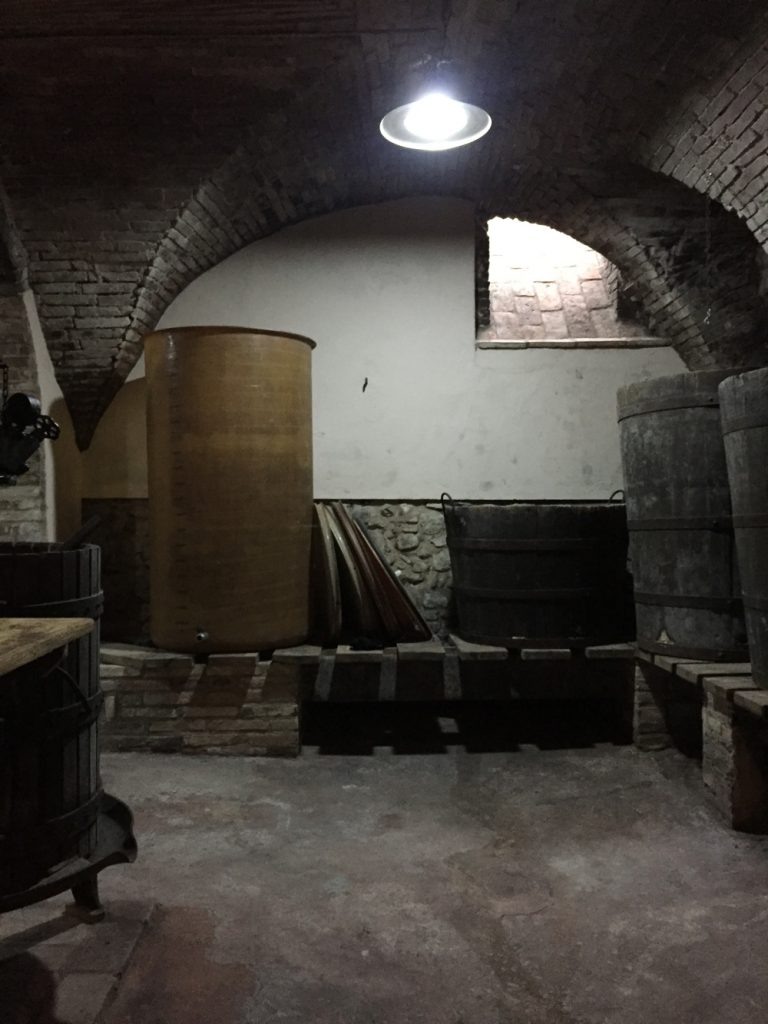Bologna, Valsamoggia - Viinitarhoja ja koirahommia 45 Bologna, Valsamoggia - Viinitarhoja ja koirahommia 44