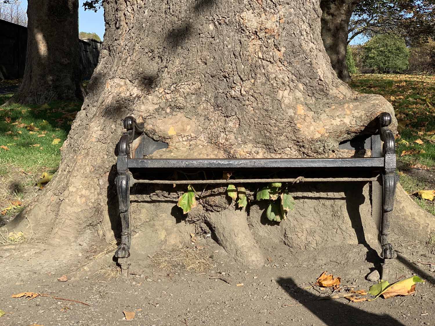 The Hungry Tree