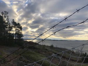 Piikkilanka-aita