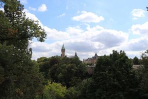 IMG_7942