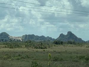 IMG_1084