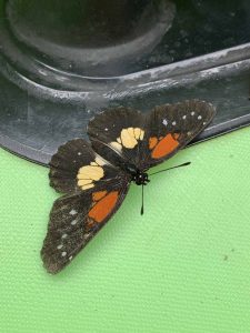 IMG_1276