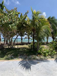 IMG_1482