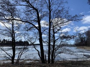 Karhusaari ranta