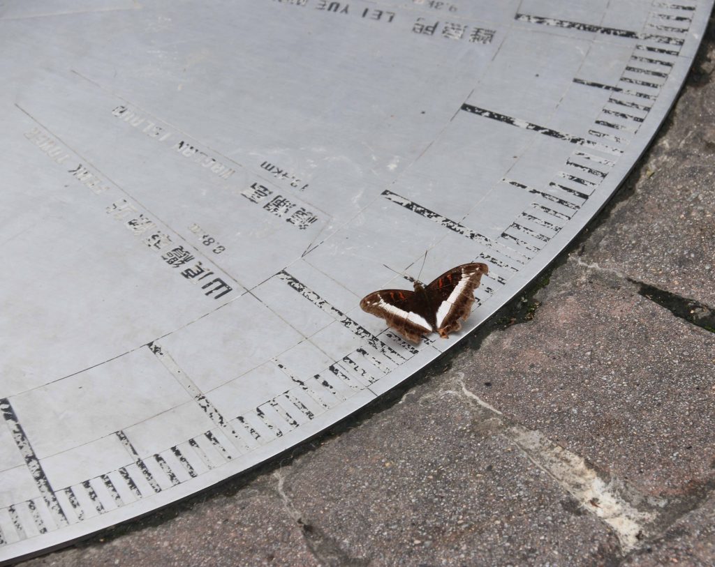 Perhonen Victoria Peak Gardenissa