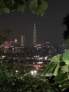 08051936