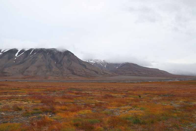 Camp Barenz