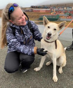 alaskanhusky Mitra Longyearbyen koira dog