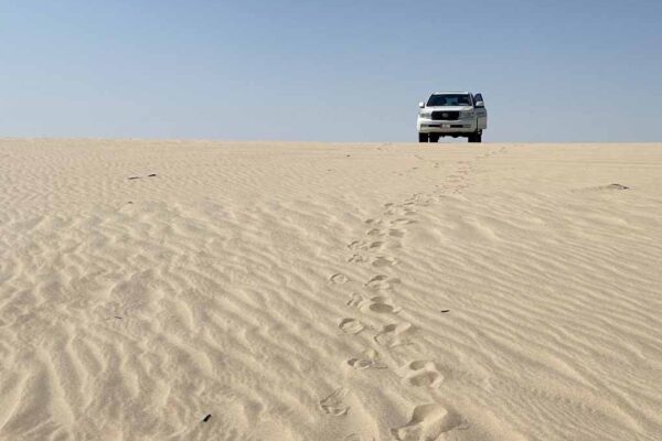 Qatar desert Toyota Landcruiser