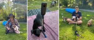 Ne Tammelat 360-kamera broholminkoira pentu puppy 360 camera live