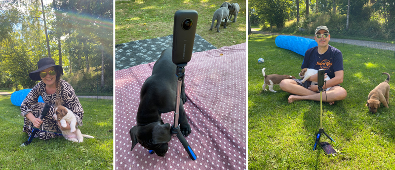 Ne Tammelat 360-kamera broholminkoira pentu puppy 360 camera live