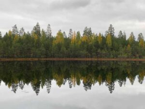 Leivonmäen kansallispuisto Leivonmäki national park Finland