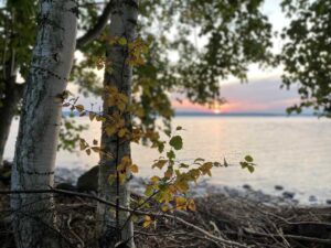 Pulkkilanharju koivu järvi birch lake sunset Finland luontokohteet