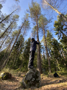 geokätköily geocaching