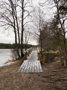Kyynäränjuova silta Liesjärven kansallispuisto