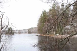 Liesjärven kansallispuisto