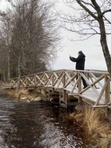 Kyynäränjuova Liesjärvi Liesjärven kansallispuisto Tammela Ilkka