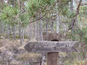 Kyltti muinaishaudoille Hanikan luontopolun varrella