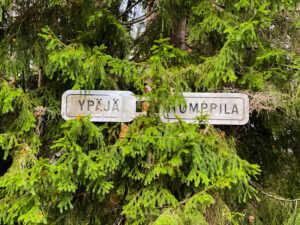 Ypäjän ja Humppilan rajapyykki metsässä