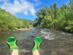 Paguajoki, Dominica