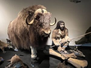 Esihistoriallisen ihmisen ja jakin malli karstimuseossa