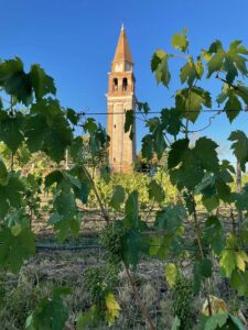 Venissa Wine Resort