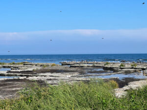 Bornholm