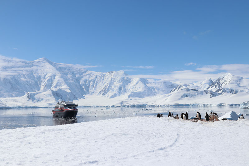 Pingviinejä ja Roald Amundsen Antarktiksella