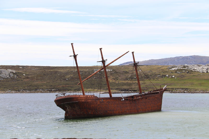 Lady Elizabethin hylky Falklandinsaarilla