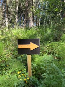 Opaste Häntälän notkoilla