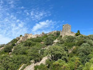 Castillo de Castellar