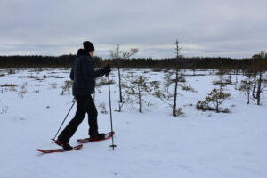 Lumikenkäilyä Valkmusan kansallispuistossa
