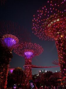 Supertree Grove Singapore