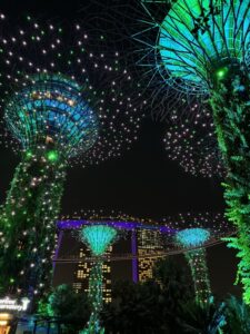 Supertree Grove Singapore