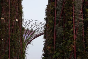 Supertree Grove Singapore
