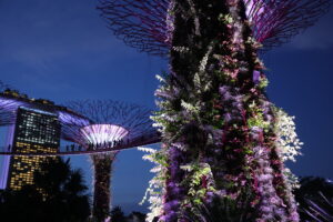 Supertree Grove Singapore