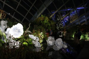 Cloud Forest Singapore