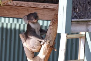 IMG_1351