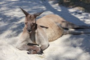 IMG_1363