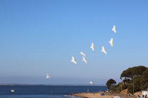 IMG_1443