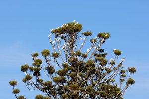 IMG_1456