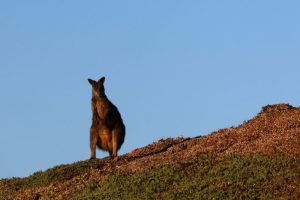 IMG_1464
