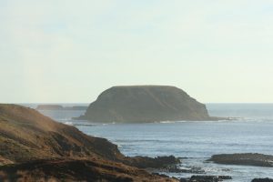 IMG_1458