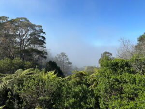 Blue Mountains